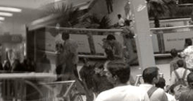 Lighthouse Retail & Mall Management Company